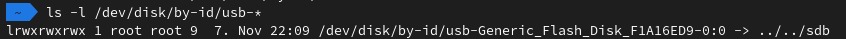Screenshot of terminal output after running the command to find the usb flash drive.